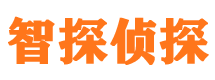 礼泉市调查公司